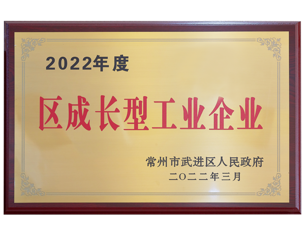 2022年度區(qū)成長型工業(yè)企業(yè)